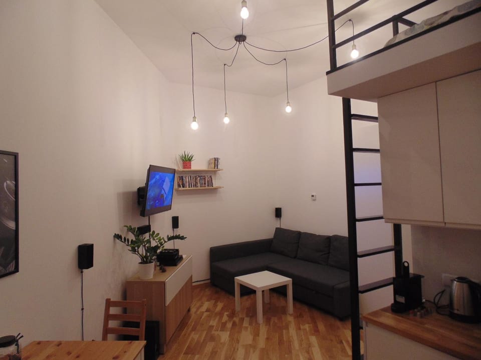 Apartment Lenartowicza Apartment in Krakow