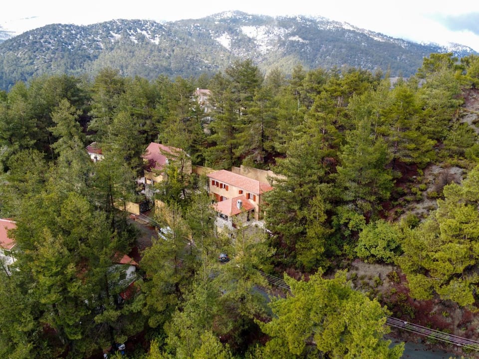 Neighbourhood, Natural landscape, Bird's eye view, Mountain view