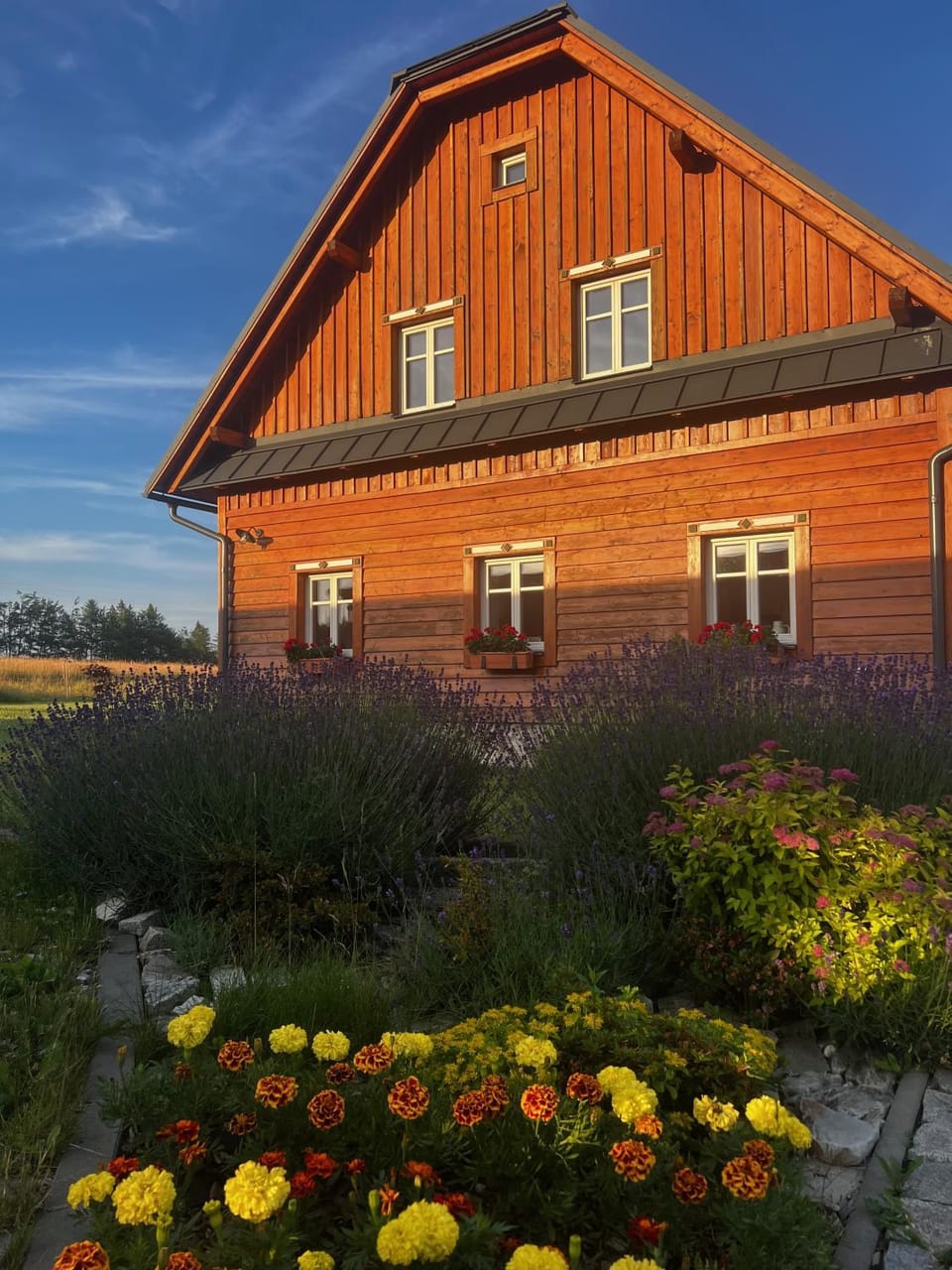 Property building, Summer, Garden