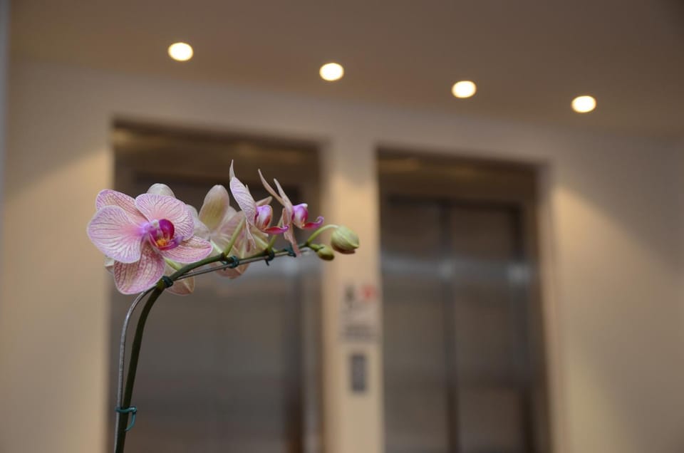 Decorative detail, Decorative detail
