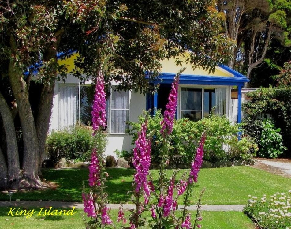 King Island Accommodation Cottages House in Tasmania