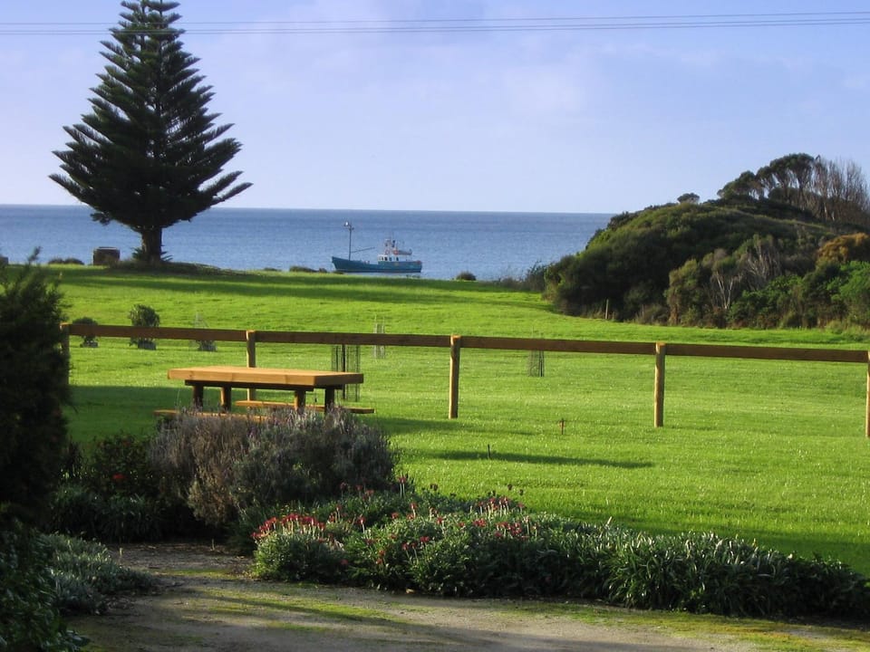 Sea view