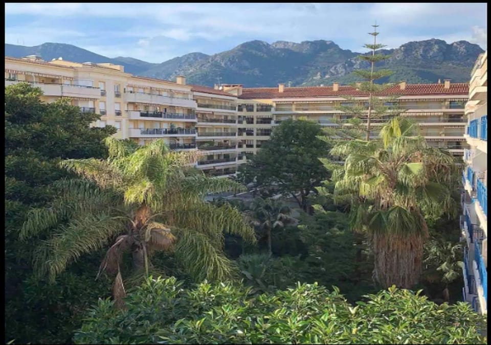 Natural landscape, Garden, Mountain view