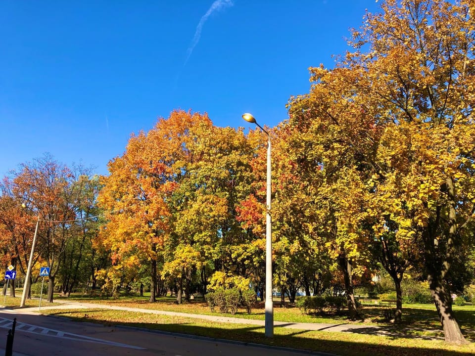 Off site, Neighbourhood, Street view
