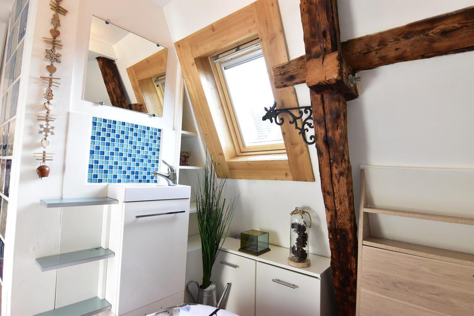 Le Duplex Carnot Apartment in Annecy