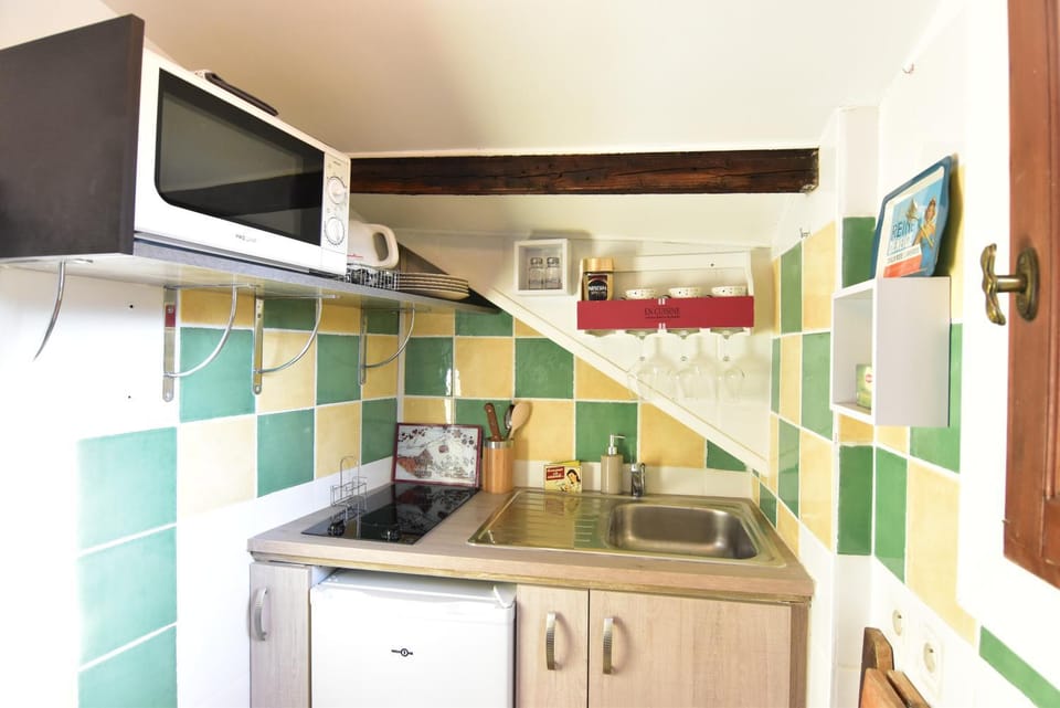 Le Duplex Carnot Apartment in Annecy