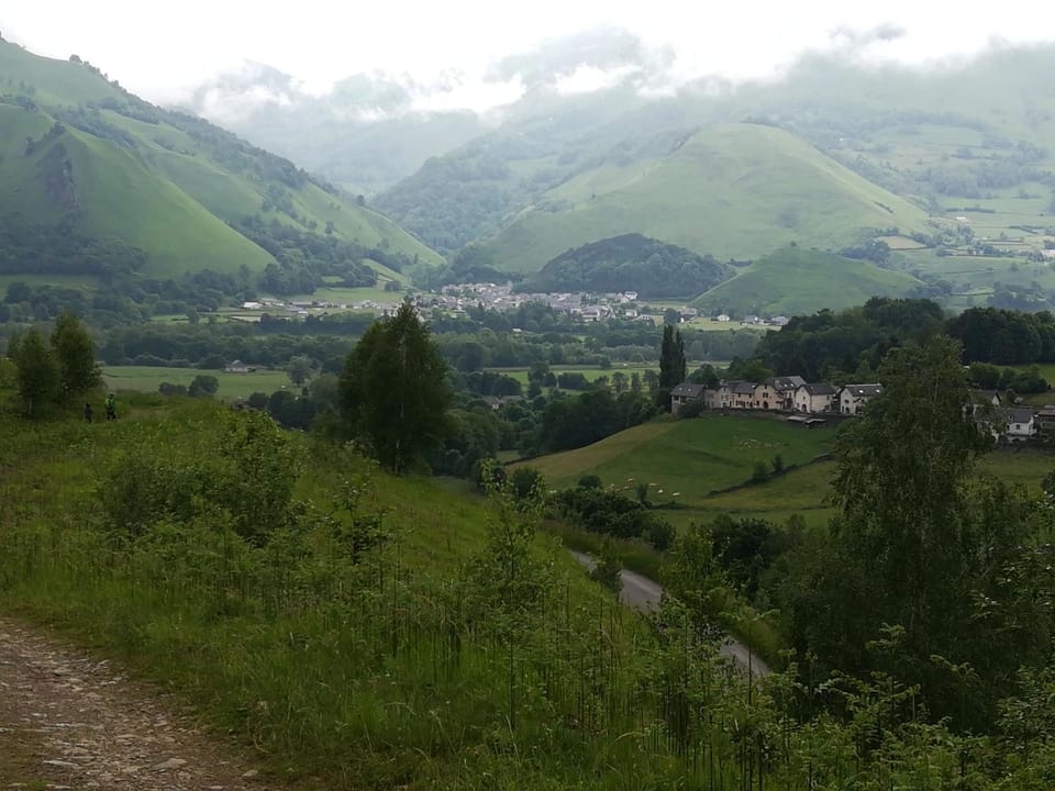 Hiking