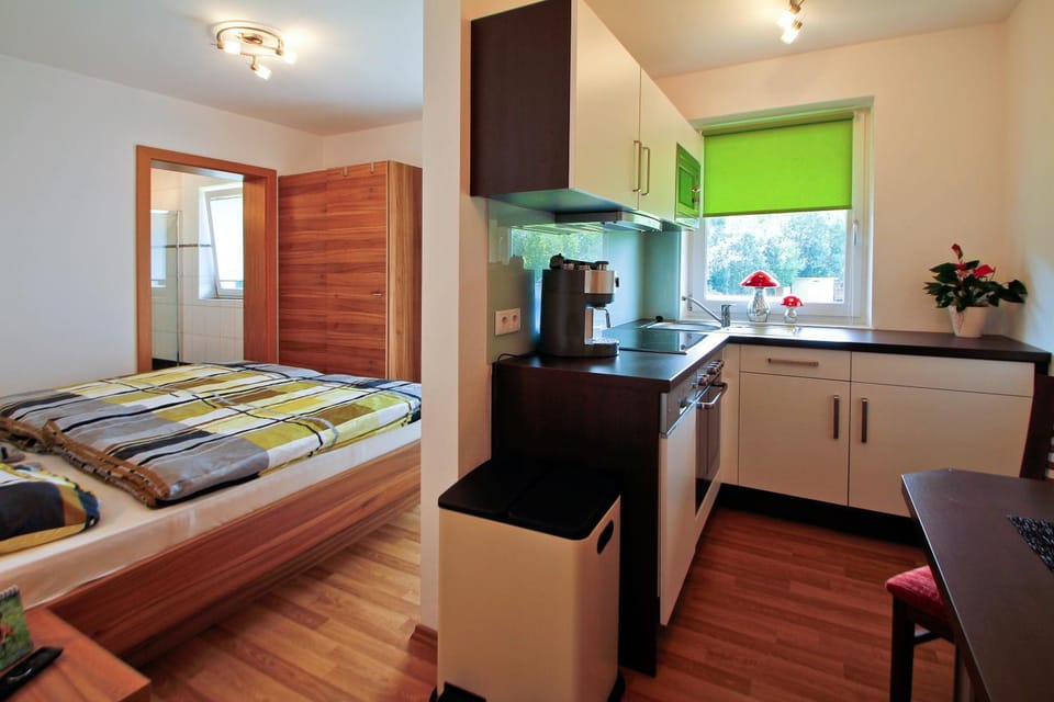 Kitchen or kitchenette, Photo of the whole room