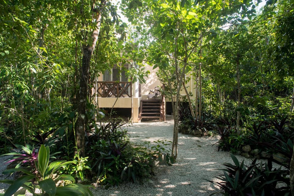 Natural landscape, Garden, Garden view