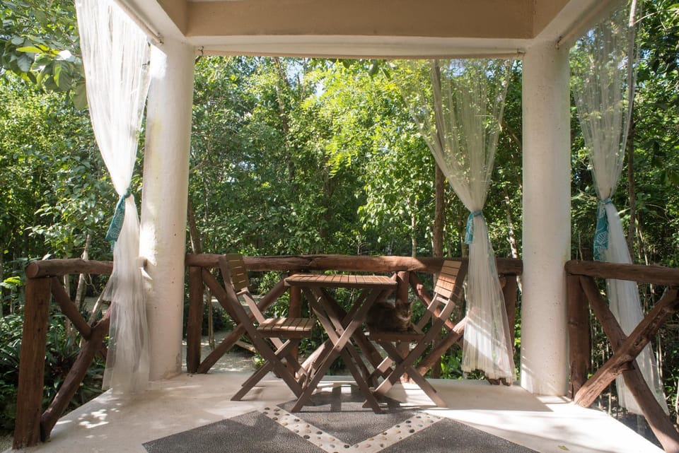 Balcony/Terrace, Garden view