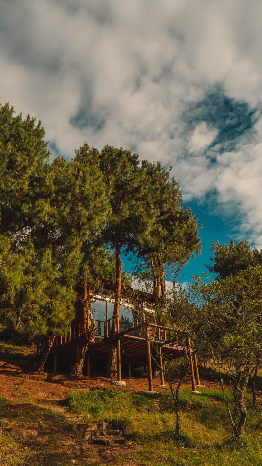 Day, Natural landscape