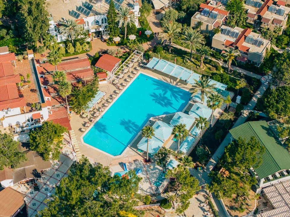 Day, Bird's eye view, Pool view