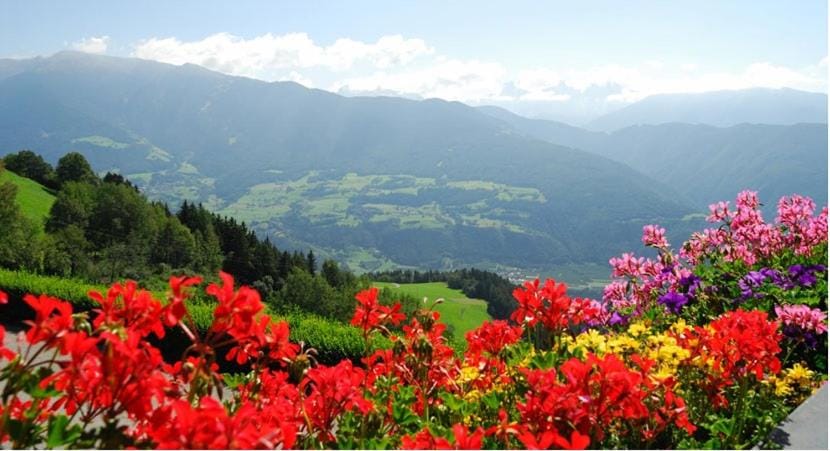 Natural landscape, Mountain view