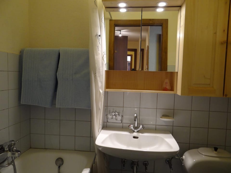 Arolles 303 Apartment in Bagnes