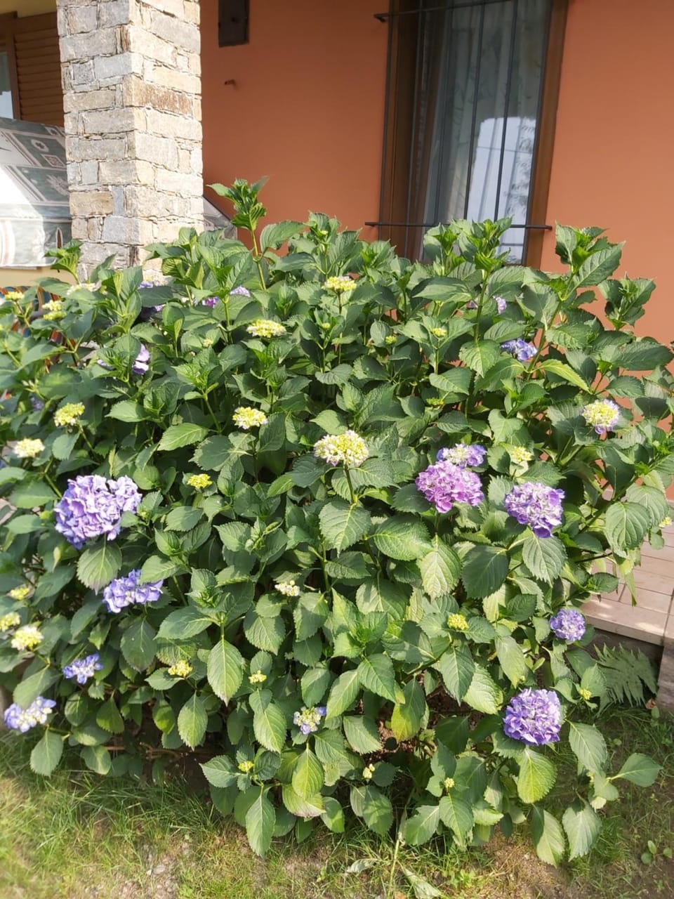 G&G1 Appartamento con giardino privato Apartment in Piedmont