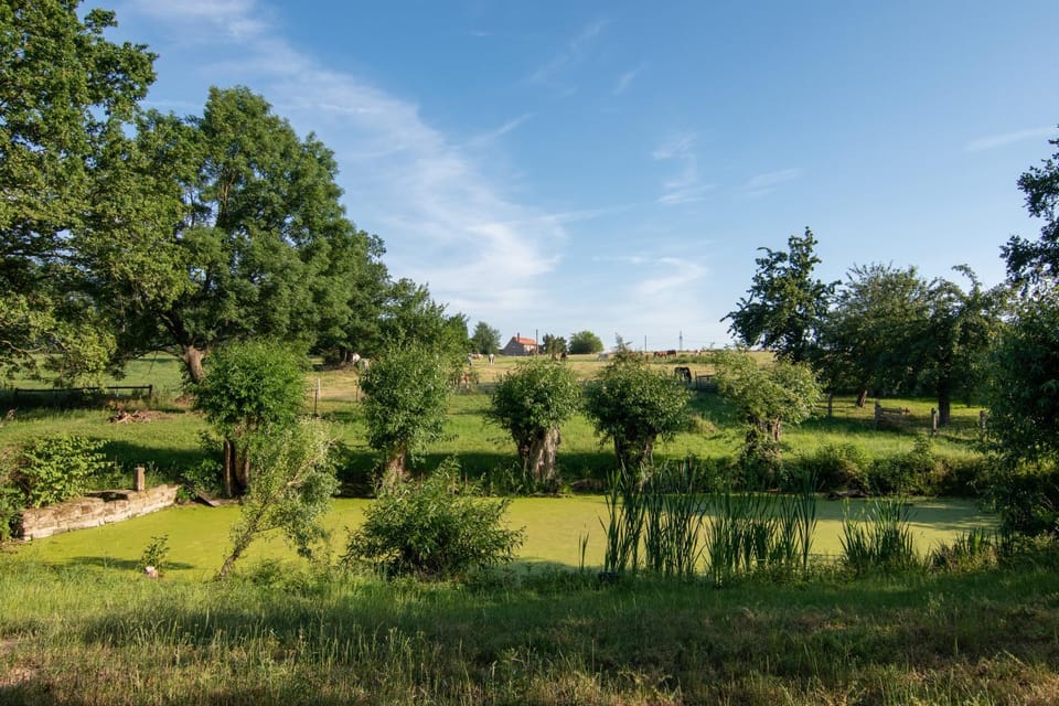 Natural landscape, Garden view