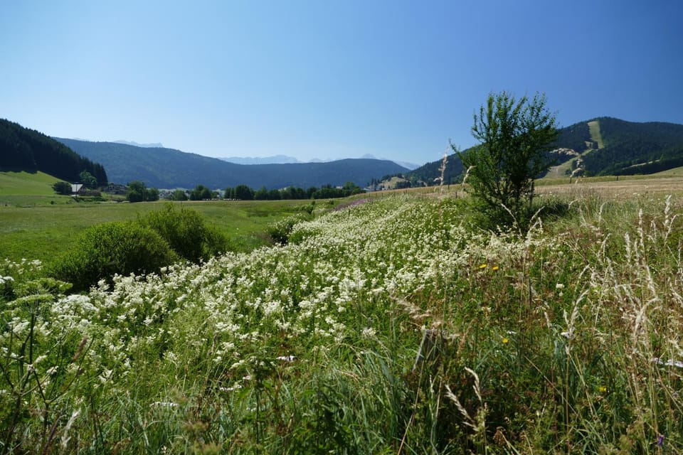 Natural landscape