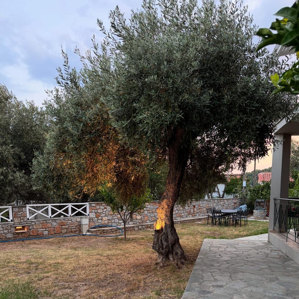 Garden, Garden view
