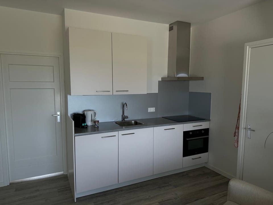 Kitchen or kitchenette, dishwasher, stove