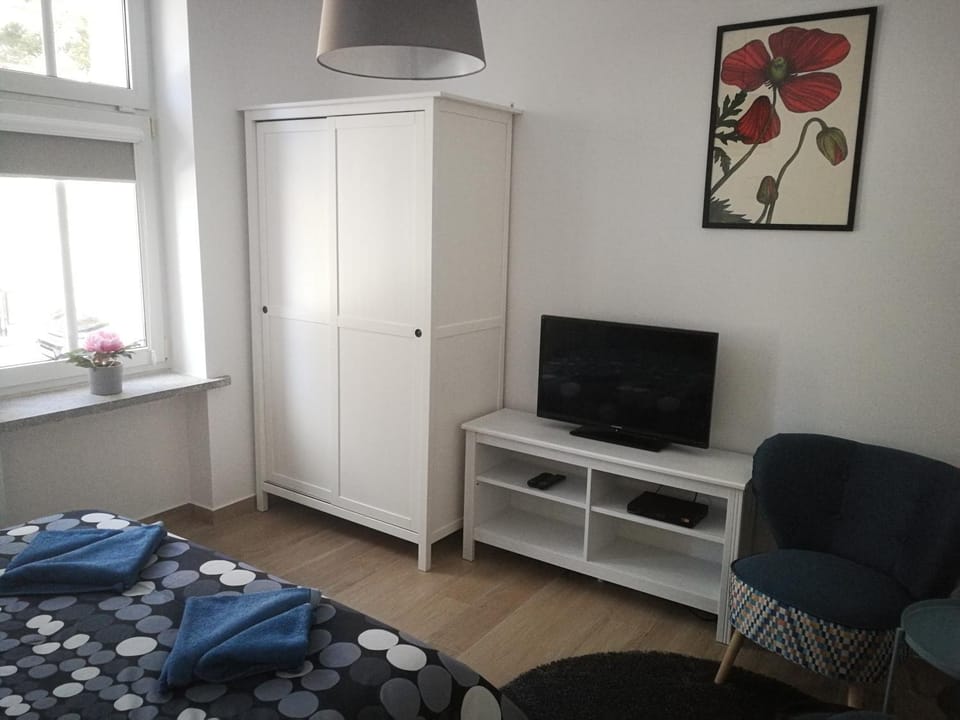 Apartament Parkowy Apartment in Lower Silesian Voivodeship