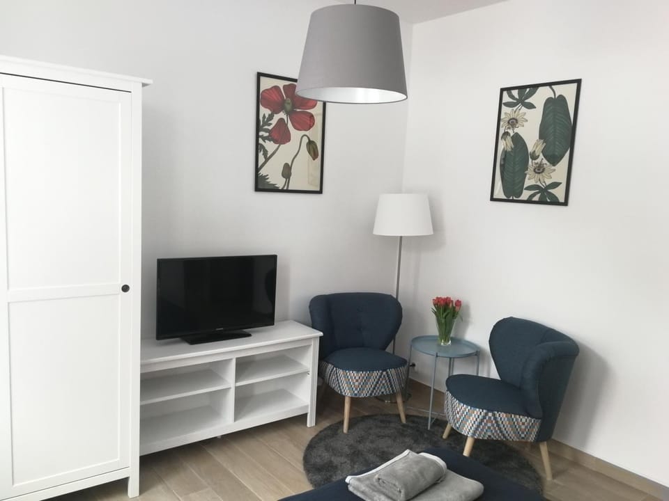 Apartament Parkowy Apartment in Lower Silesian Voivodeship