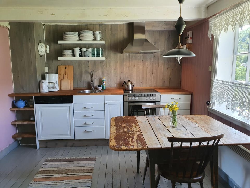 Kitchen or kitchenette, Photo of the whole room, Dining area, dishwasher