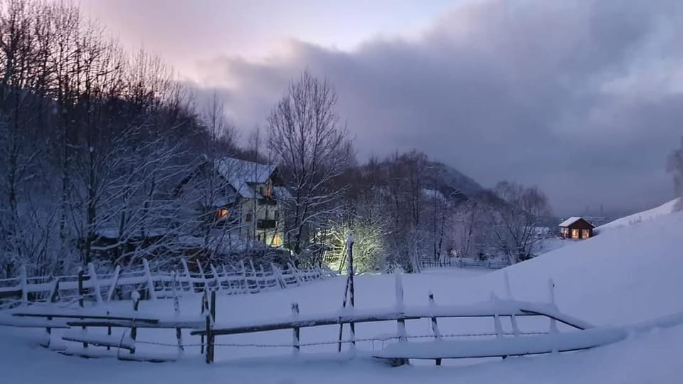 Winter