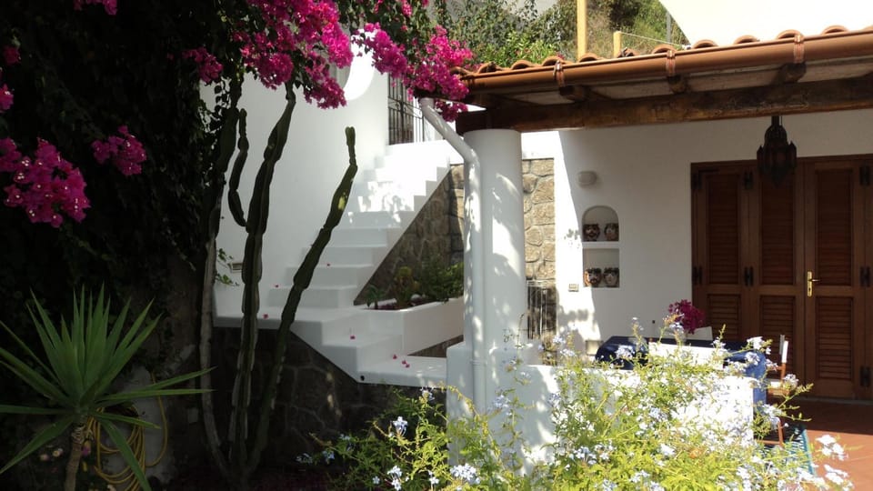 Property building, Patio, Facade/entrance, Garden