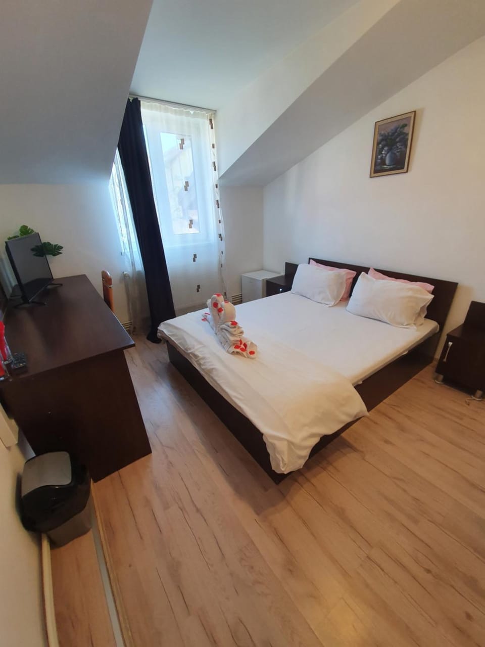 Casa Lions Bed and Breakfast in Timisoara