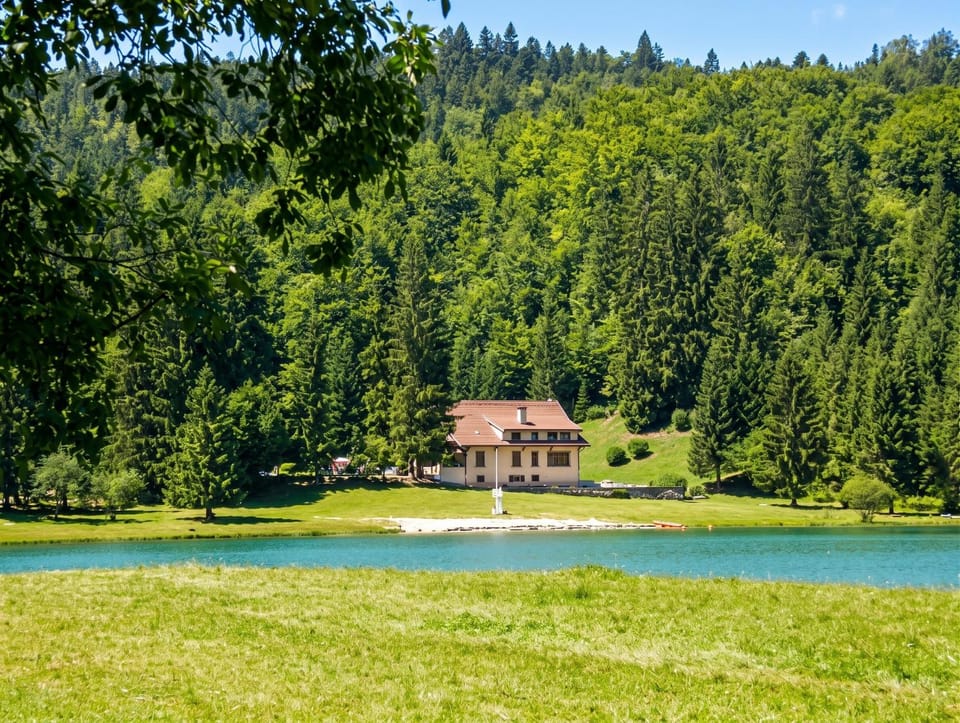 Lake view