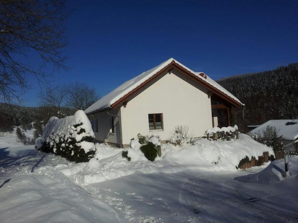 Ferienhaus am Löffelberghüttchen Apartment in Thuringia, Germany