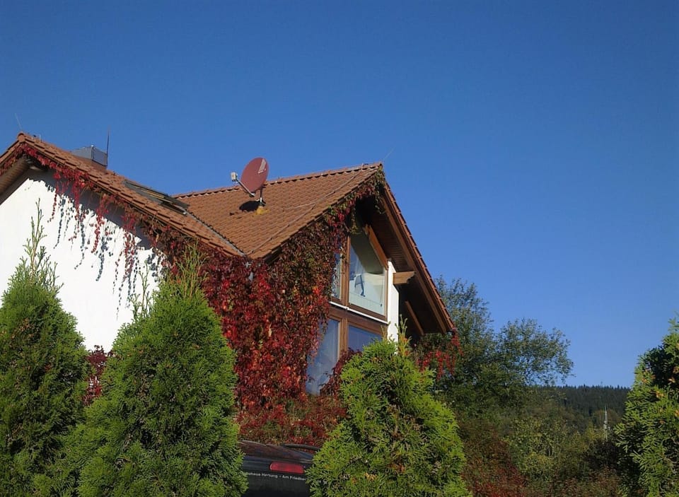Ferienhaus am Löffelberghüttchen Apartment in Thuringia, Germany