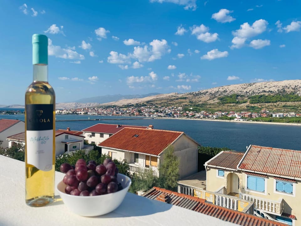 Apartments Vozab Apartment in Zadar County