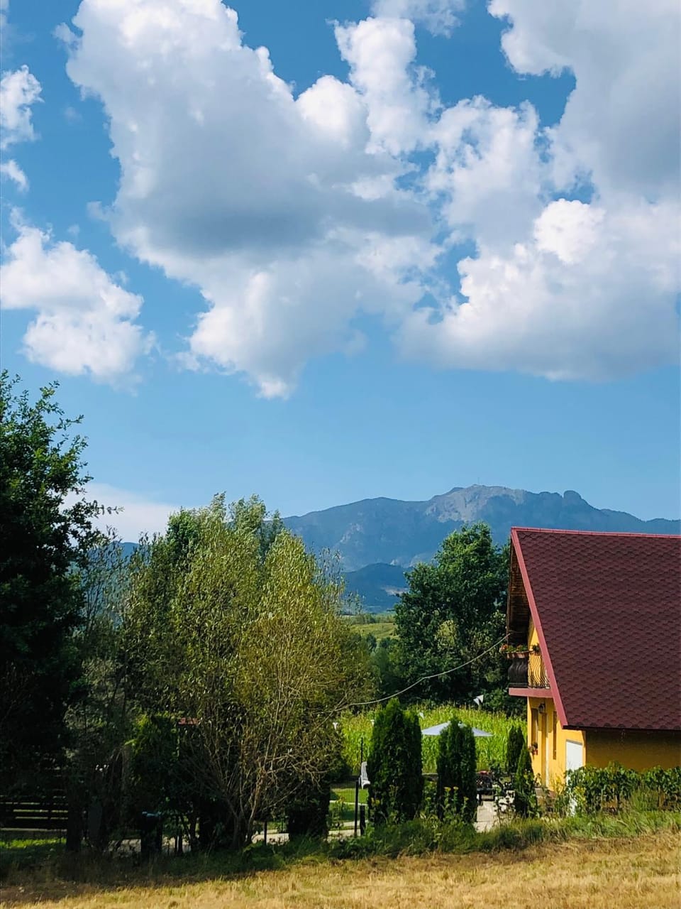 Casa Sofia Villa in Romania