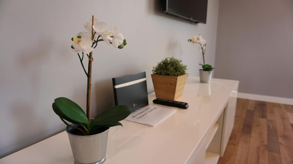 Apartament Lublin Centrum "Foxy Cat" FREE PARKING Apartment in Masovian Voivodeship