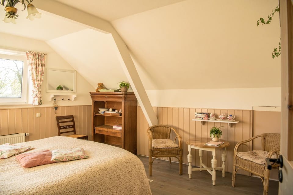 boerderijkamer Zwanebloem Bed and Breakfast in Vlagtwedde