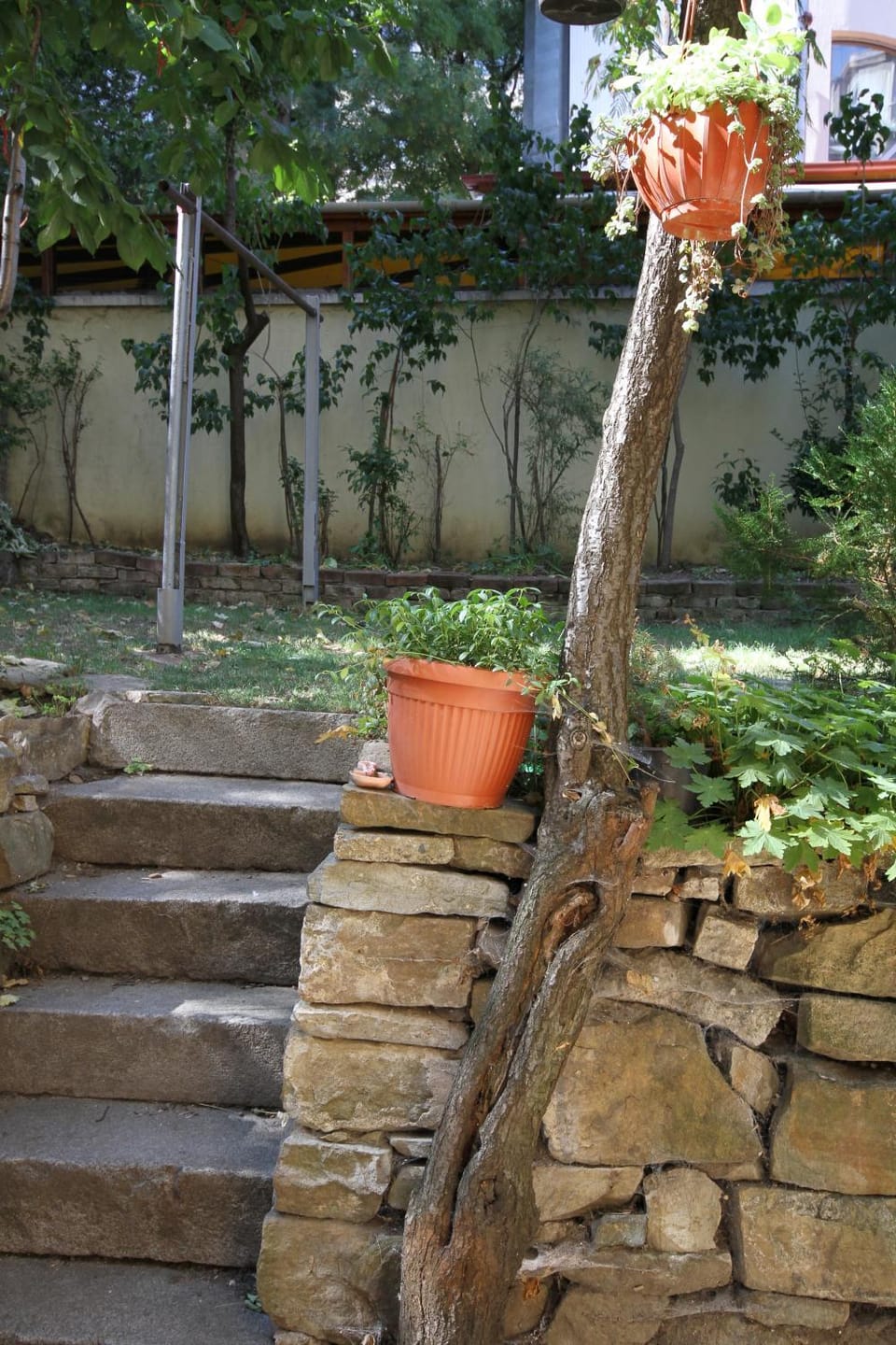 Patio, Garden
