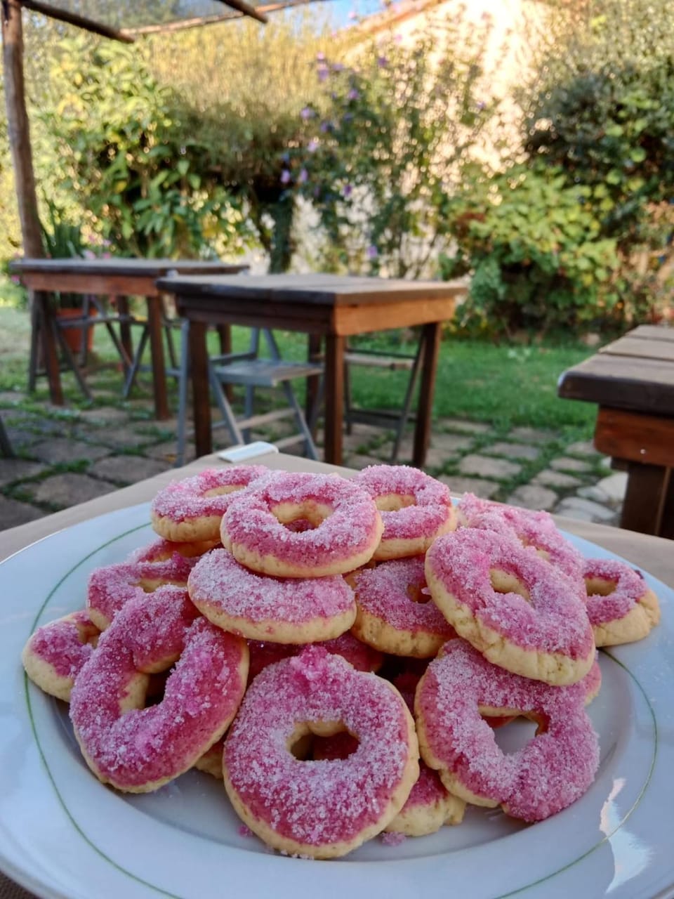 Agriturismo le colline di Capalbio Farm Stay in Lazio