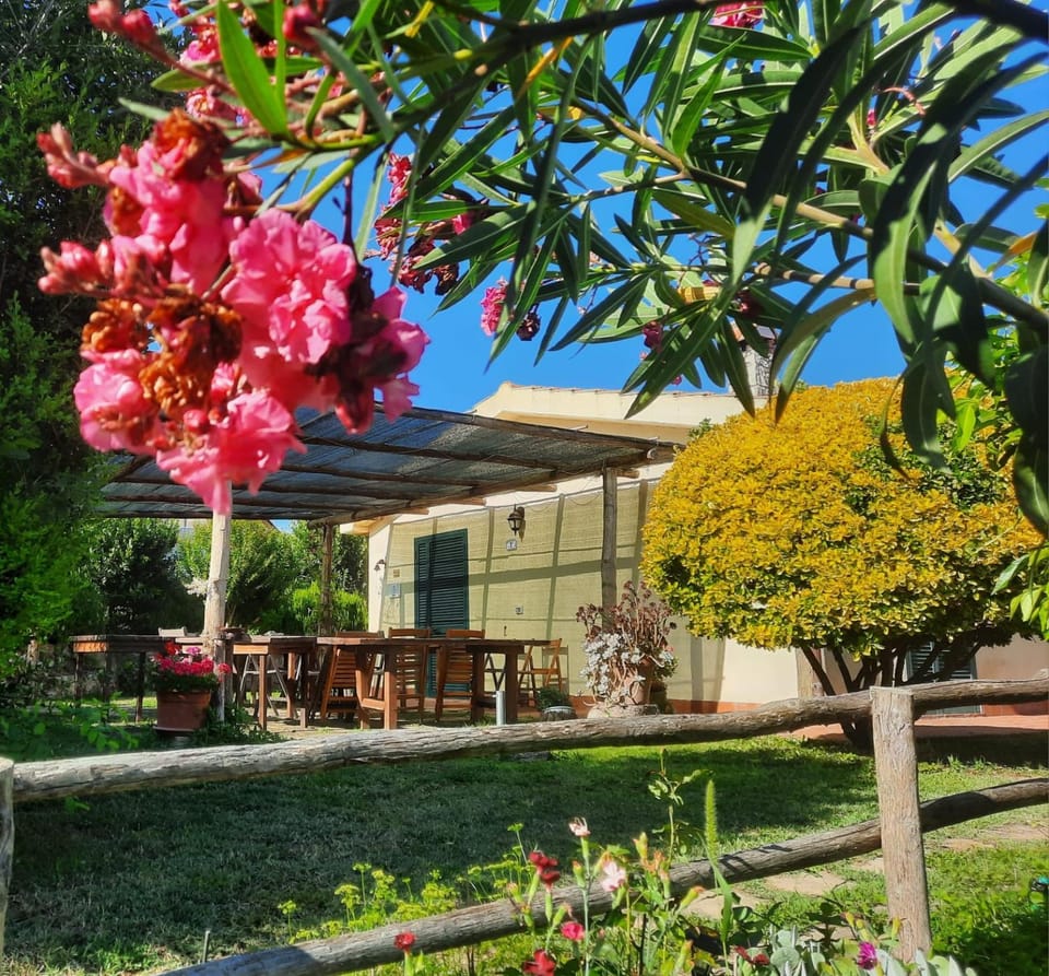 Agriturismo le colline di Capalbio Farm Stay in Lazio