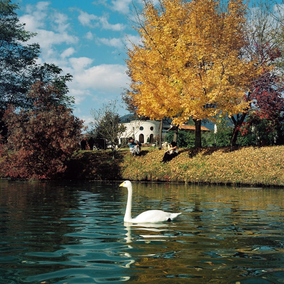 Natural landscape