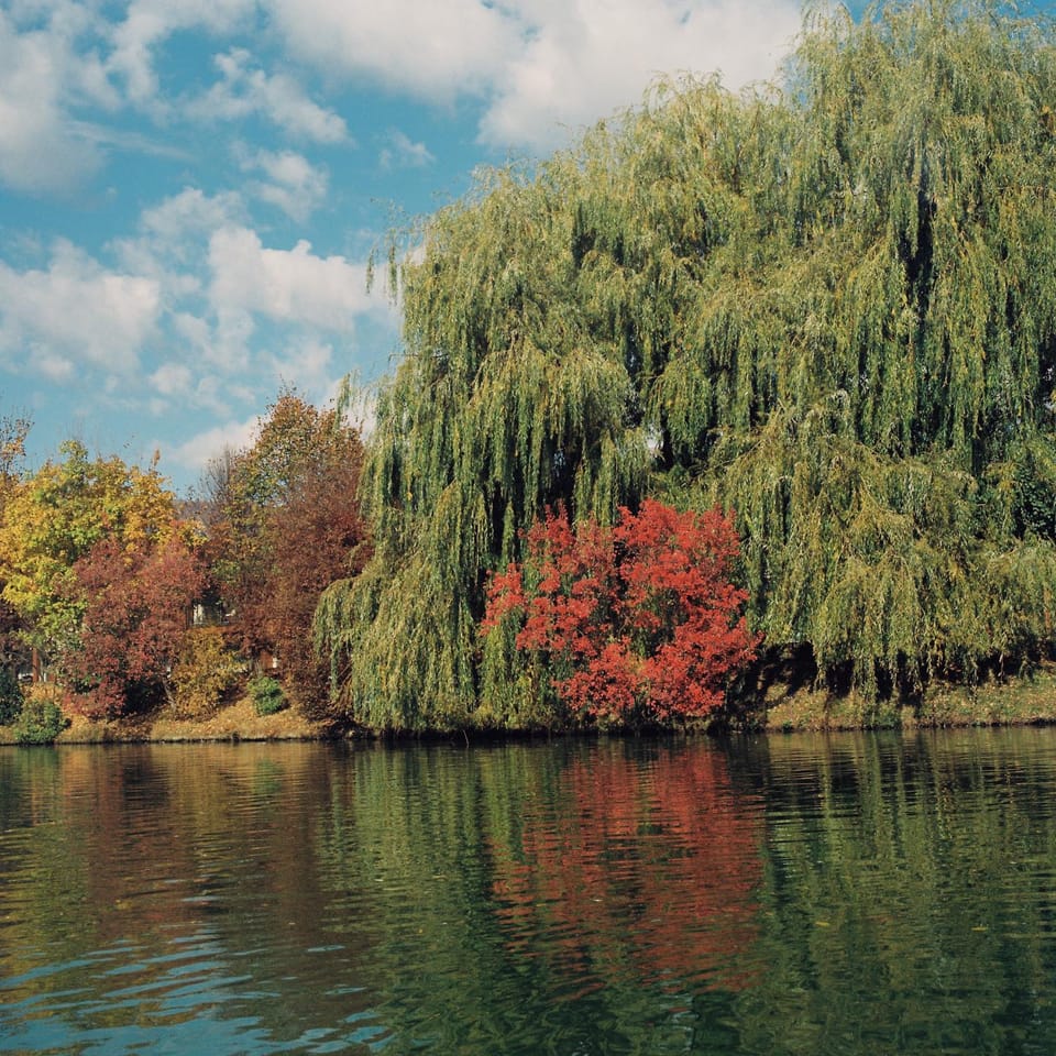 Natural landscape
