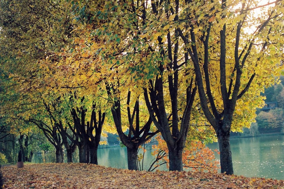Natural landscape