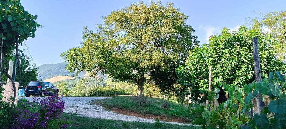 Dolcedorme del Pollino Bed and Breakfast in Calabria