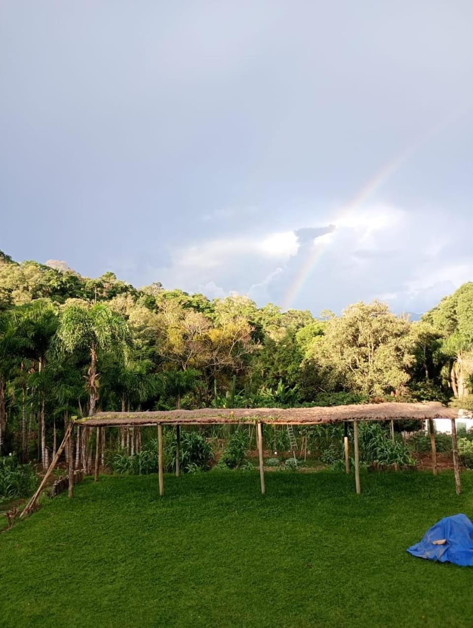 View (from property/room)