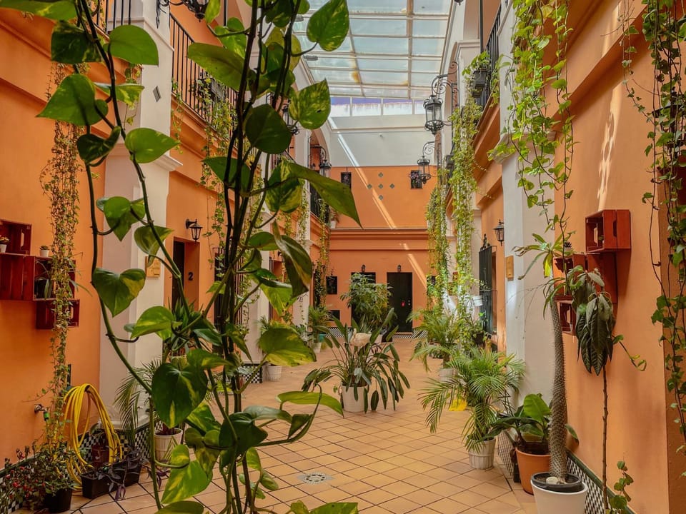 Property building, Patio, Inner courtyard view