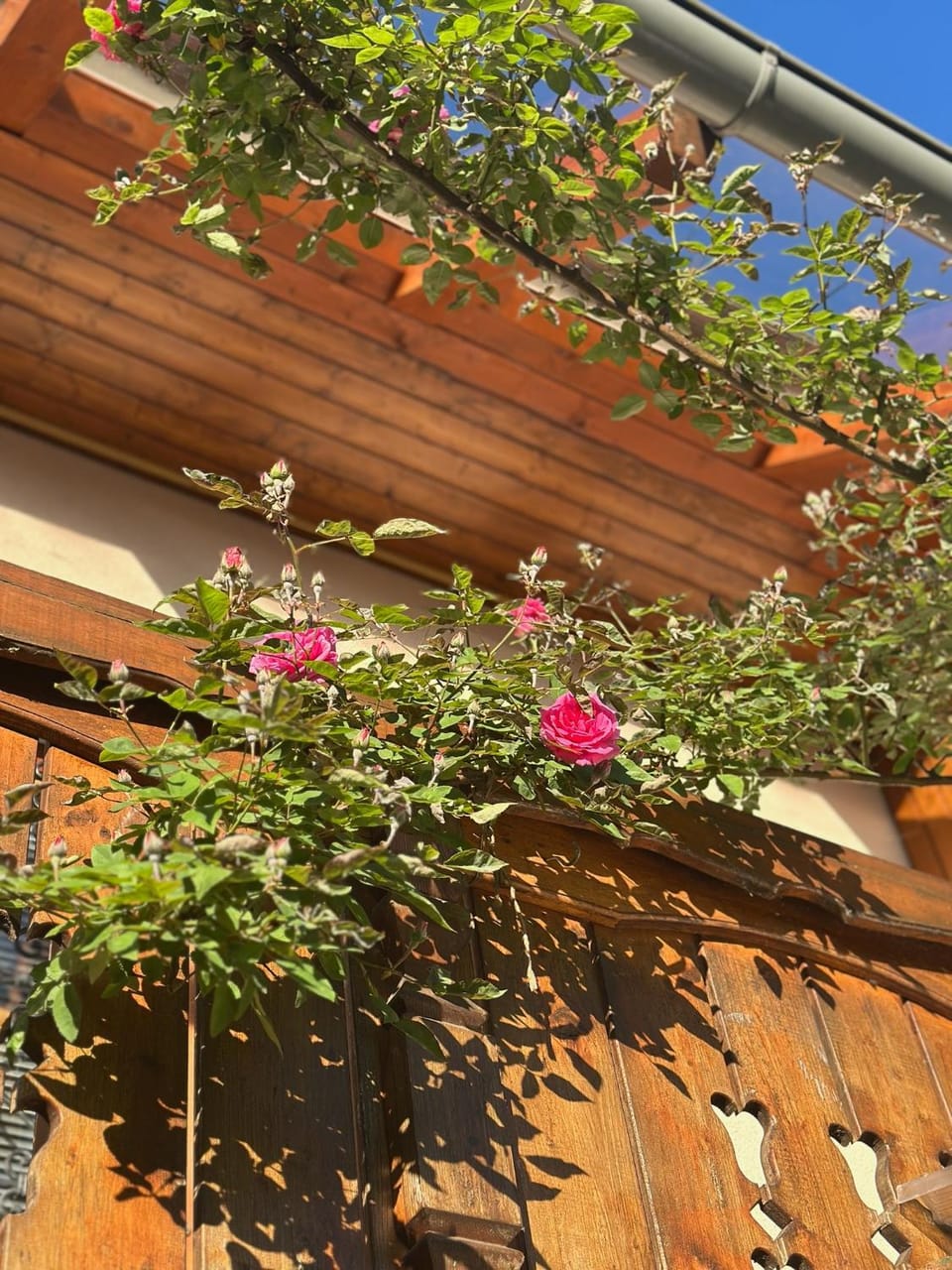 Guesthouse Sabine - pr` Skminc Apartment in Bled