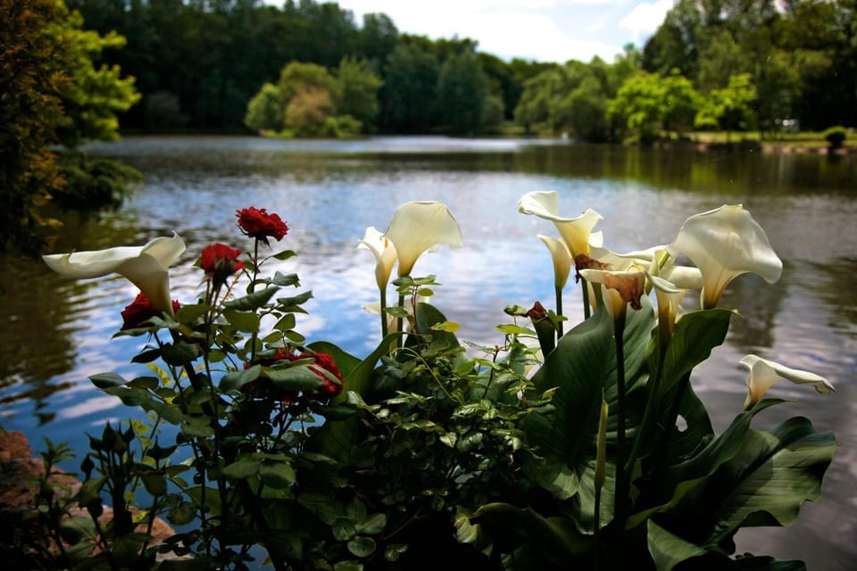 Patio, Lake view