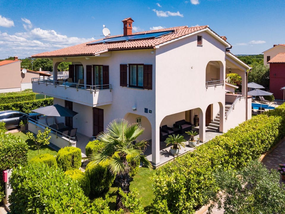 Bird's eye view, Garden view, Street view