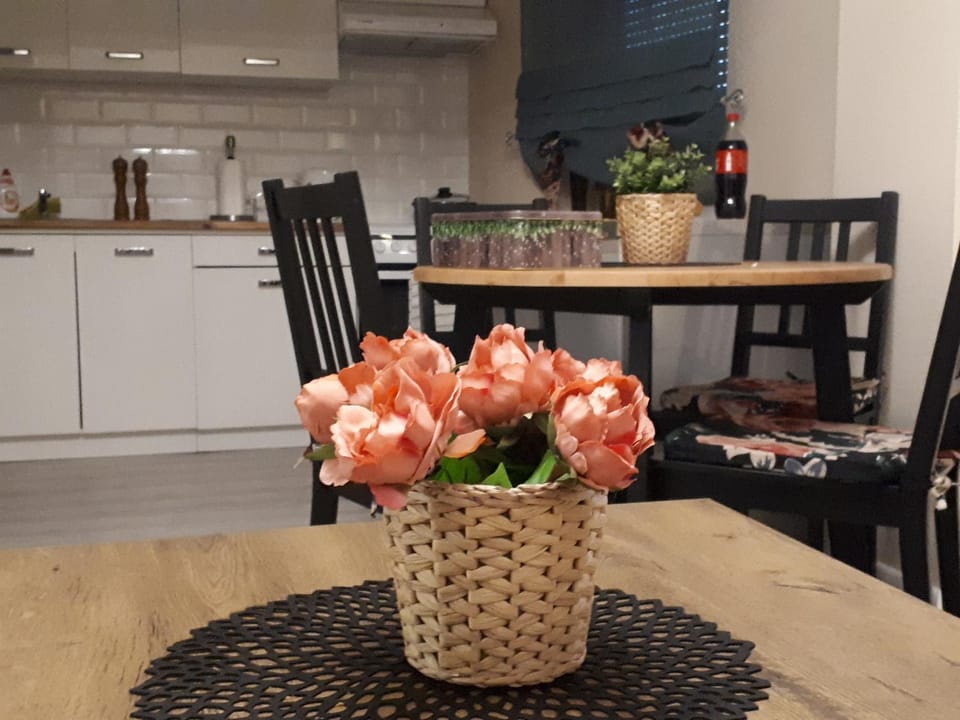 Apartament Natalia Apartment in Lower Silesian Voivodeship