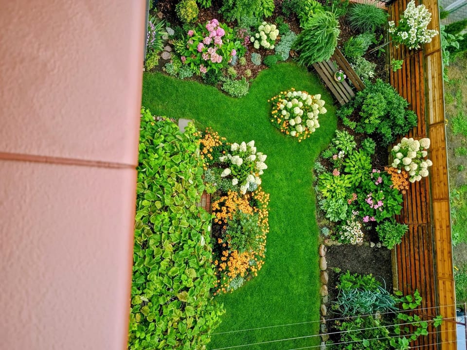 Garden view